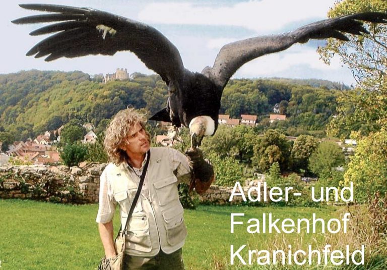Kranichfeld 2