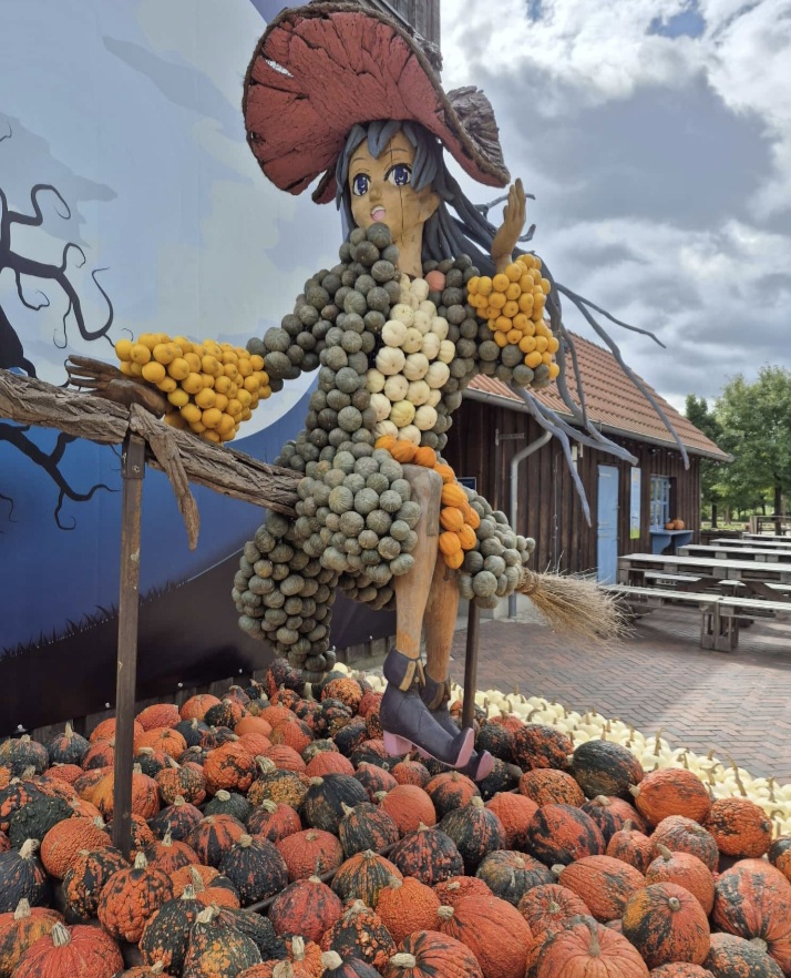 Kürbiszeit 2026 (3)