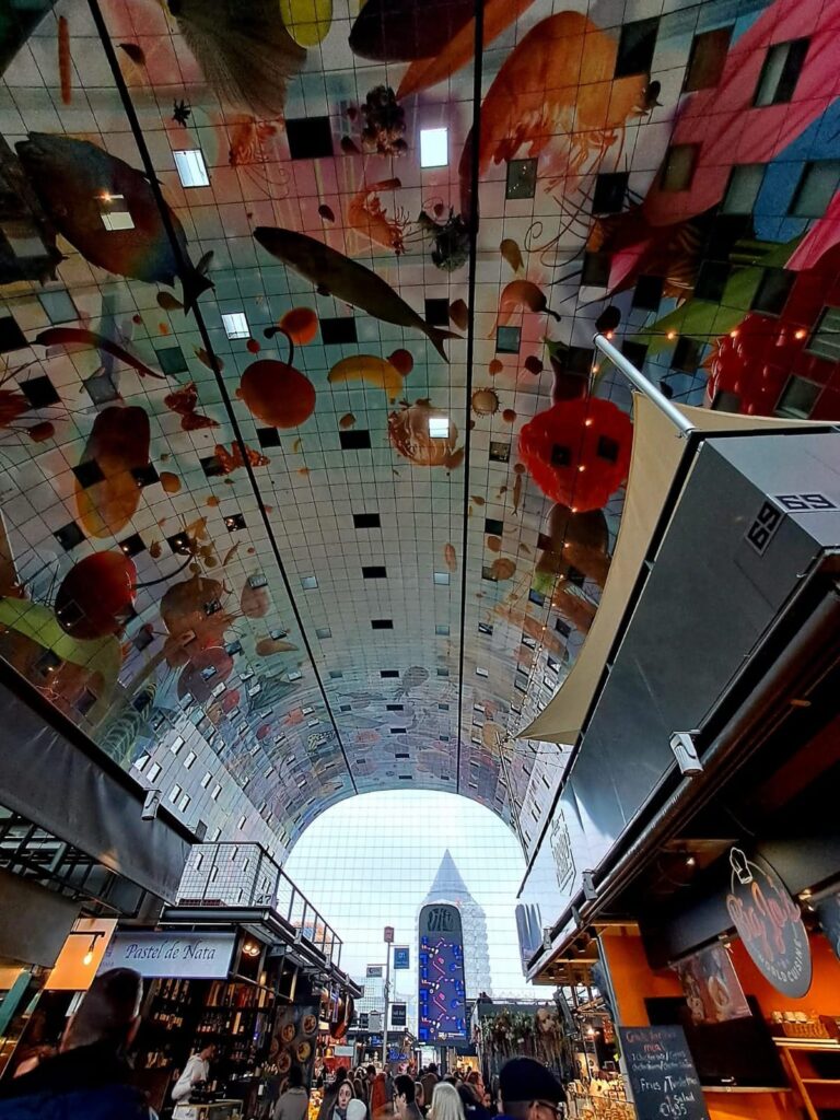 Tulpenblüte 2026 (10)