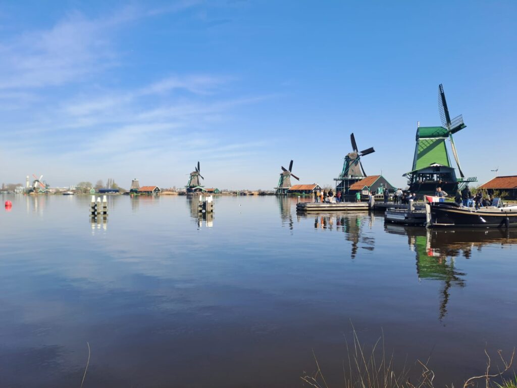 Tulpenblüte 2026 (2)