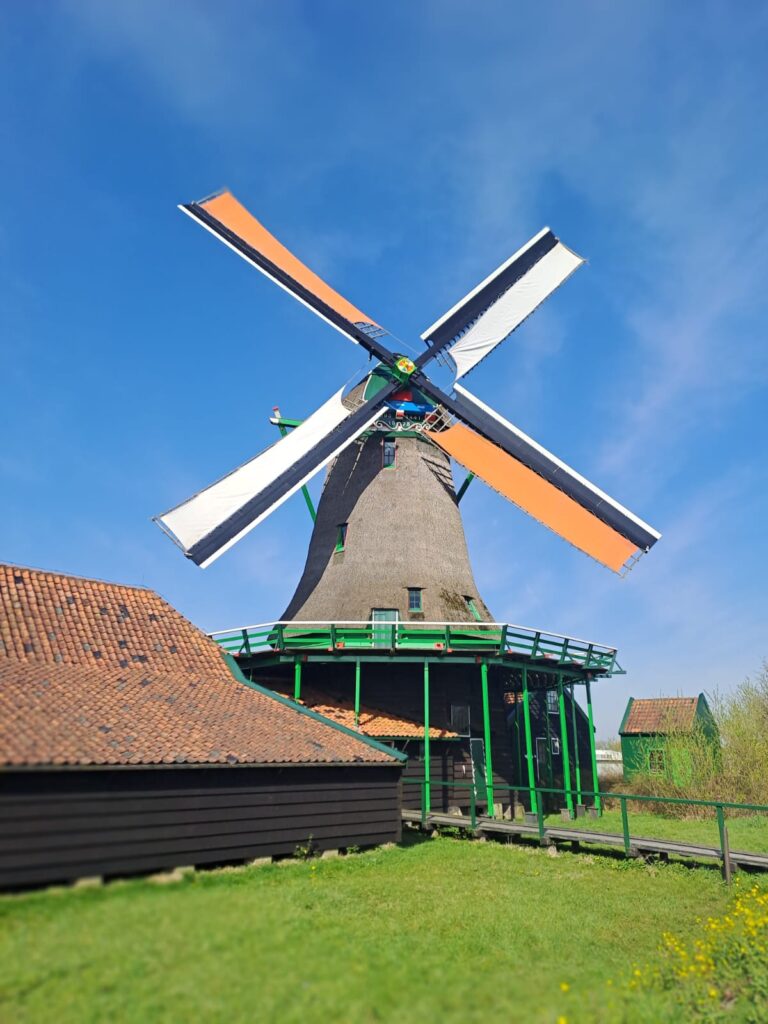 Tulpenblüte 2026 (3)