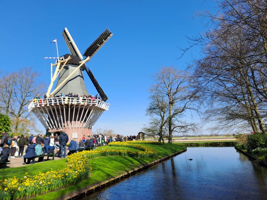 Tulpenblüte 2026 (7)