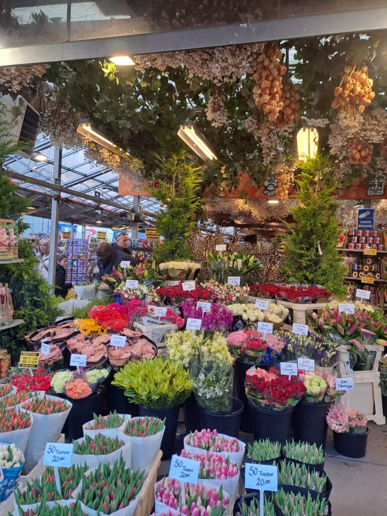 Tulpenblüte 2026 (8)