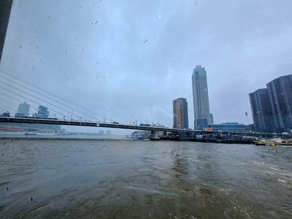 Tulpenblüte 2026 (9)